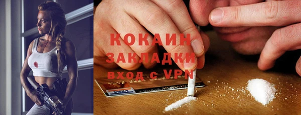 прущие грибы Алексин