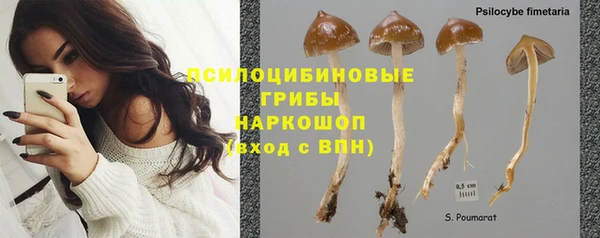 герыч Алзамай