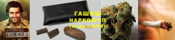 прущие грибы Алексин